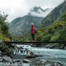 BOOKING COM BRASIL SERVIÇOS DE RESERVA DE HOTÉIS LTDA: Uma Análise Completa da Líder em Reservas Online